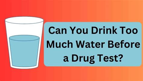 two bottles of water before drug test|diluted drug test water levels.